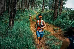 BIB: 
                            <button type="button" onclick="openModal(25659452)" class="btn btn-primary btn-sm float-right btn-popup" data-toggle="modal" data-target=".modal-high-quality">
                        <i class="fas fa-shopping-cart"></i> Add to Cart
                    </button>
                                            <button type="button" onclick="isThisMe(25659452, true)" class="btn btn-success btn-sm float-right btn-popup btn-isme hidden" data-toggle="tooltip" data-placement="bottom" title="นี่คือรูปของคุณใช่ไหม คลิกที่นี่เพื่อเอาเข้าอัลบั้ม">
                        <i class="fas fa-plus"></i> Add to album
                    </button>
                    <button type="button" onclick="isThisMe(25659452, false)" class="btn btn-warning btn-sm float-right btn-popup btn-isnotme hidden">
                        <i class="fas fa-ban"></i> Remove from album
                    </button>